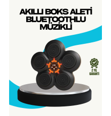 Ev Tipi Akıllı Boks Duvar Paneli Müzikli Bluetoothlu Refleks Geliştirme Cihazı