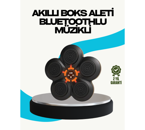 Ev Tipi Akıllı Boks Duvar Paneli Müzikli Bluetoothlu Refleks Geliştirme Cihazı