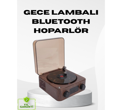 Dekoratif Gece Işığı Bluetooth Hoparlör Dijital Saat Çok Yönlü Sesli Aydınlatma