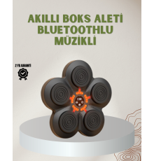 Bluetoothlu Akıllı Boks Antrenman Cihazı Işıklı Hedefli Kardiyo ve Fitness Aleti