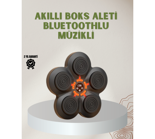Bluetoothlu Akıllı Boks Antrenman Cihazı Işıklı Hedefli Kardiyo ve Fitness Aleti