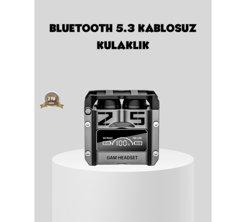 Gürültü Engelleyici Kablosuz Bluetooth Kulaklık – Oyun ve Müzik İçin Profesyonel Ses