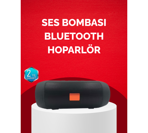 Bluetooth Hoparlör 20W Bass Güçlü Ses USB Flash AUX Destekli