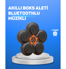 Müzikli Boks Duvar Paneli Akıllı Işık Sistemli Refleks ve Kondisyon Aleti