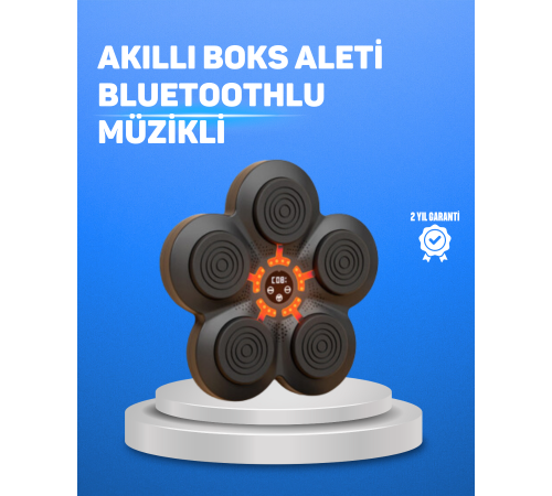 Müzikli Boks Duvar Paneli Akıllı Işık Sistemli Refleks ve Kondisyon Aleti