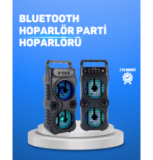 Kablosuz LED Işıklı Bluetooth Hoparlör – FM Radyolu, Mikrofon Girişli