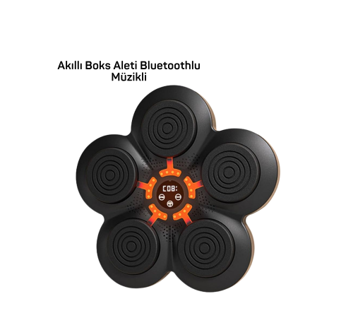 MÜZİK BOX MAKİNESİ