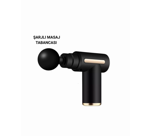 LF6140 Masaj Cihazı