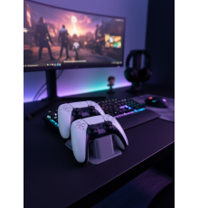 Antrasit İkili Gamepad Tutucu 7x18 cm Masa ve Raf Düzeni