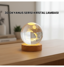 3D Yunus Desenli Kristal Küre Ahşap Tabanlı Işıklı Dekor Objesi