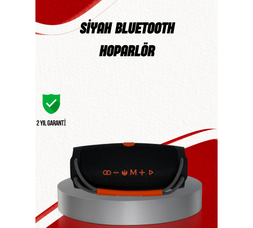 RGB LED Taşınabilir Kablosuz Hoparlör