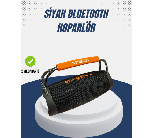 10W Çift Çıkış Güçlü Bluetooth Hoparlör Eller Serbest