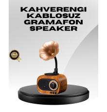 Kablosuz Retro Radyo Hoparlör 5W Güçlü Ses USB Hafıza Kart Destekli