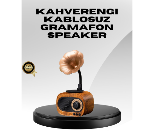 Kablosuz Retro Radyo Hoparlör 5W Güçlü Ses USB Hafıza Kart Destekli