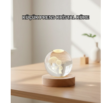 LED Aydınlatmalı 3D Küçük Prens Kristal Küre Ahşap Standlı Masa Gece Lambası