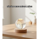 LED Aydınlatmalı 3D Küçük Prens Kristal Küre Ahşap Standlı Masa Gece Lambası