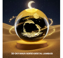 Yunus Temalı Kristal Küre USB Işıklı Ahşap Altlıklı Gece Lambası