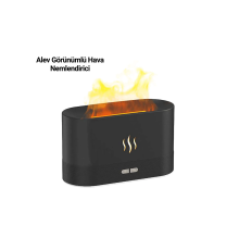 SL169 NEMLENDİRİCİ