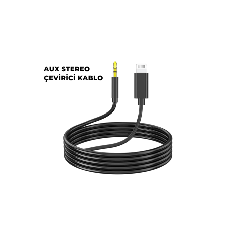 İPHONE AUX