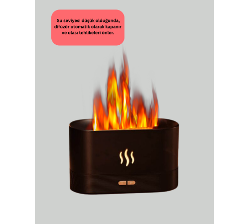 SL169 NEMLENDİRİCİ