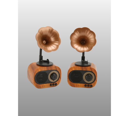 Şarjlı Mini Retro Radyo Bluetooth Hoparlör Çoklu Bağlantı Seçenekli