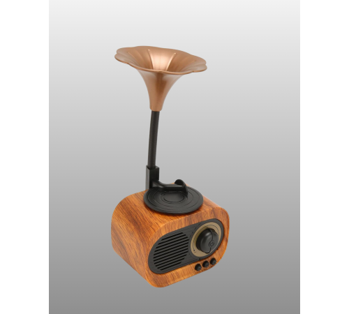 Şarjlı Mini Retro Radyo Bluetooth Hoparlör Çoklu Bağlantı Seçenekli