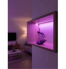 EL İNSAN FİGÜRÜ MOR