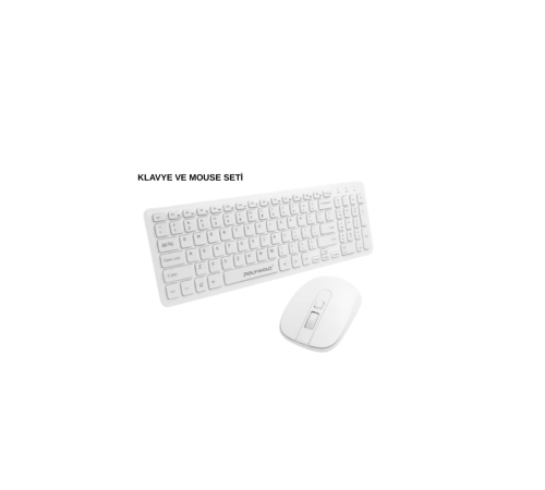 PG-8040 KLAVYE VE MOUSE SETİ