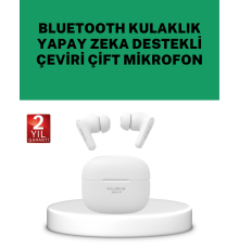 Gerçek Zamanlı Çeviri Özellikli Kablosuz Kulaklık Profesyonel Kullanım