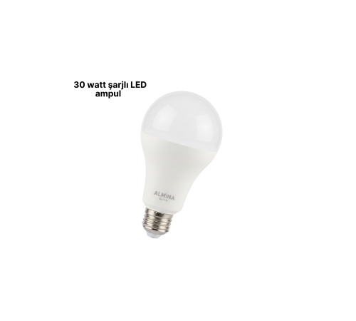 DL-2030 Şarjlı LED Ampul