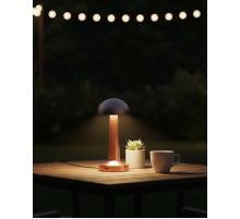 Modern Bronz Masa Lambası 3 Renk LED Dokunmatik Şarjlı Model