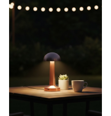 Modern Bronz Masa Lambası 3 Renk LED Dokunmatik Şarjlı Model