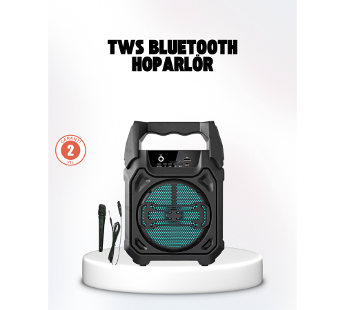 Taşınabilir 6.5” Bluetooth Hoparlör USB TF Kart Mikrofonlu Şarjlı Sistem