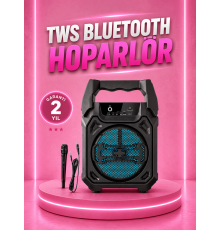 Taşınabilir 6.5” Bluetooth Hoparlör USB TF Kart Mikrofonlu Şarjlı Sistem
