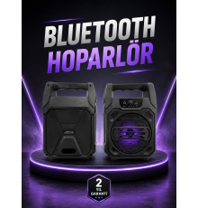 6.5 İnç Kablosuz Hoparlör Bluetooth Bağlantılı Yüksek Ses