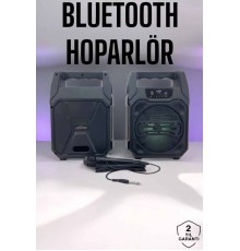 6.5 İnç Kablosuz Hoparlör Bluetooth Bağlantılı Yüksek Ses Kaliteli