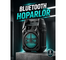 Kablosuz 6.5 İnç TWS Bluetooth Hoparlör