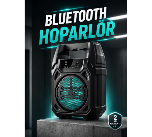 Kablosuz 6.5 İnç TWS Bluetooth Hoparlör