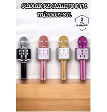 Şarjlı ve Uzun Pil Ömürlü Karaoke Mikrofon USB Bellek Destekli, Profesyonel Ses