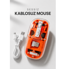 Kablosuz Mouse Fare 5.0 Bluetooth Bağlantılı USB Girişli