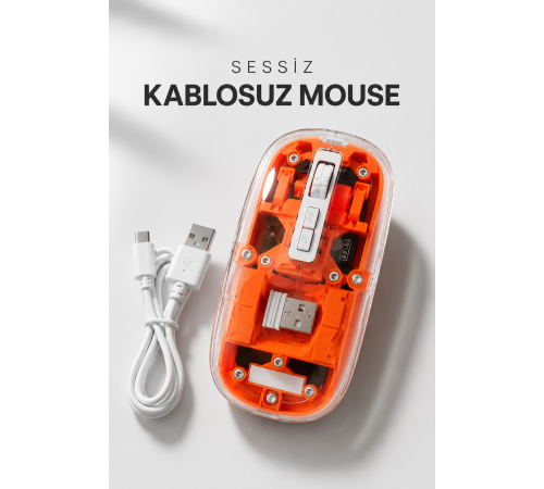 Kablosuz Mouse Fare 5.0 Bluetooth Bağlantılı USB Girişli