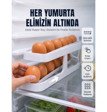 İki Katlı Yumurta Organizeri Buzdolabı Düzenleyici Pratik Saklama Rafı