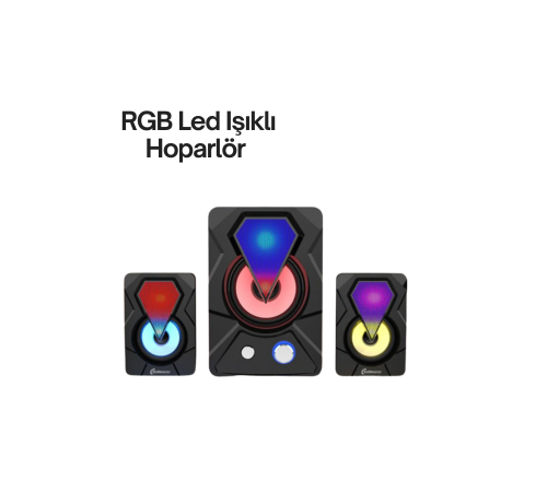 Renkli LED Işıklı Hoparlör