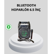 Taşınabilir Bluetooth Hoparlör – FM Radyo, USB, SD Kart ve TWS Özellikli