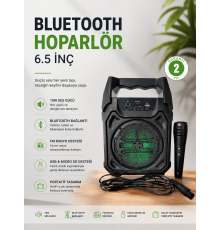 Bluetooth Hoparlör Mikrofonlu Taşınabilir Ses Sistemi FM Radyo, USB, SD Kart ve TWS Özellikli