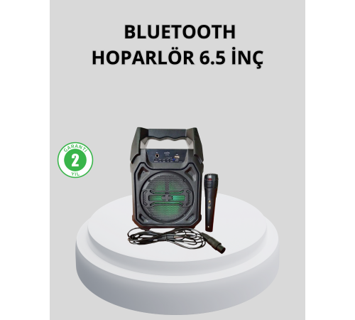 Taşınabilir Bluetooth Hoparlör – FM Radyo, USB, SD Kart ve TWS Özellikli