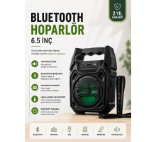 Yeni Nesil 6.5 İnç Bluetooth Hoparlör Mikrofonlu Taşınabilir Ses Sistemi
