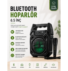 Yeni Nesil 6.5 İnç Bluetooth Hoparlör Mikrofonlu Taşınabilir Ses Sistemi