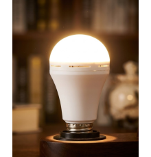 Şarj Edilebilir LED Ampul 35 Watt Soğuk Beyaz Uzun Ömürlü Tasarruflu