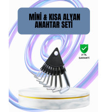 9 Parça Alyan Anahtar Seti Altıgen Uçlu Mobilya ve Tamir İçin